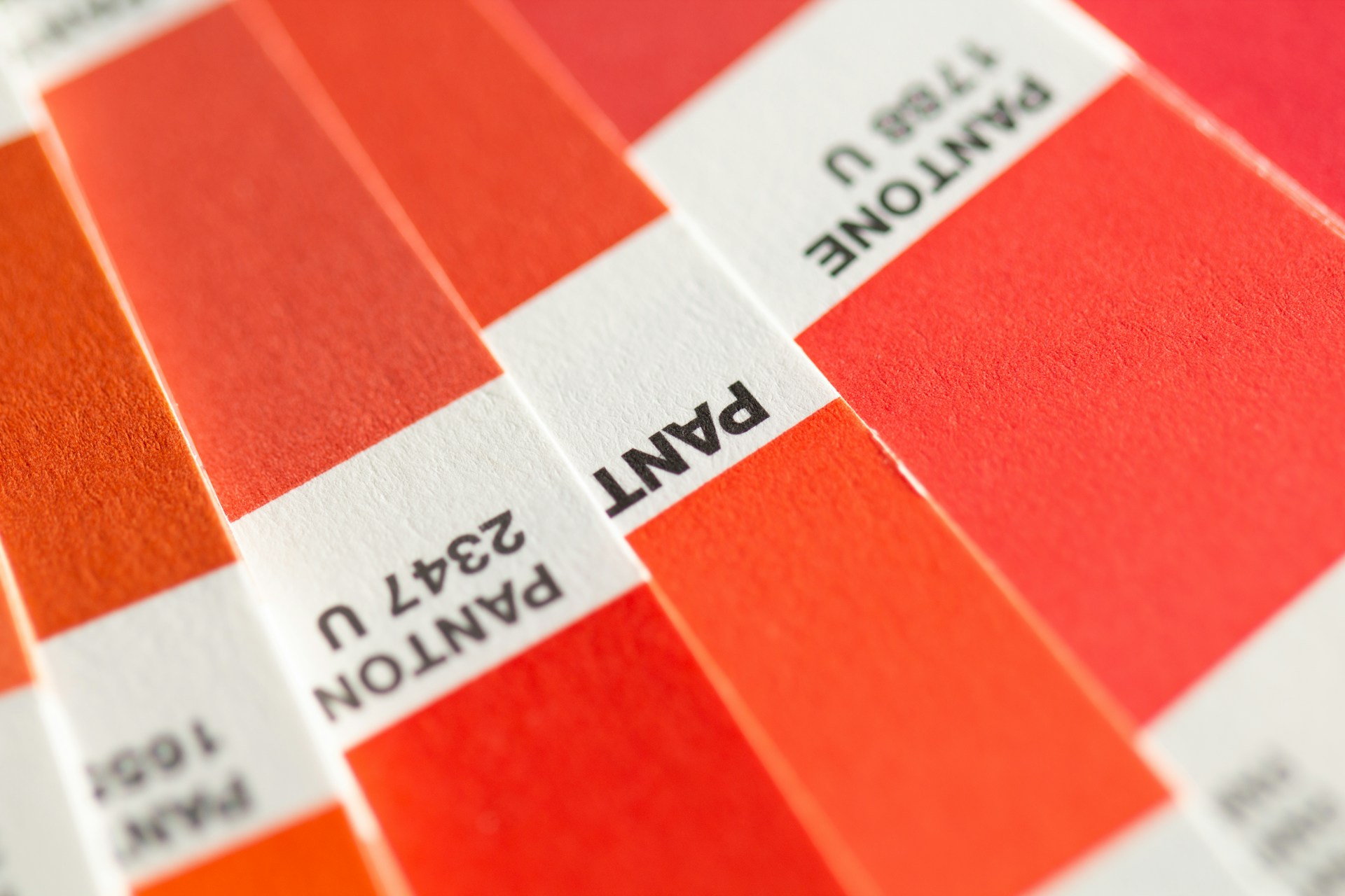 Close-up of Pantone color swatches in various shades of red and orange, with visible labels and textured paper surfaces. The swatches are arranged diagonally and feature different Pantone numbers.