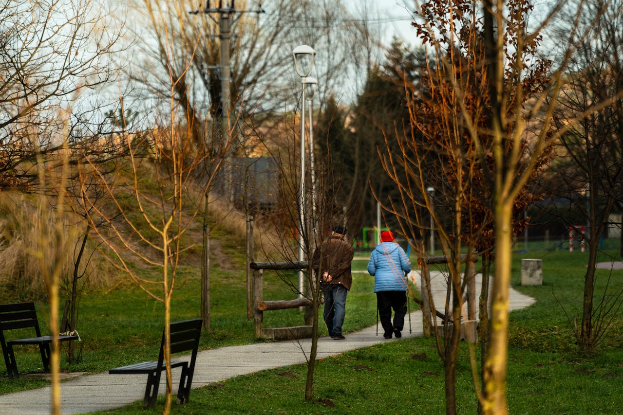 Two people walk together on a winding path through a park lined with bare trees. Benches sit on the grass nearby, and a lamp post stands along the path. The scene is calm and appears to be in early spring or late autumn.